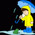 Pluie 158